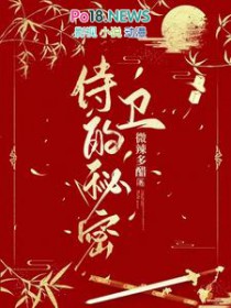 这个侍卫有秘嘧